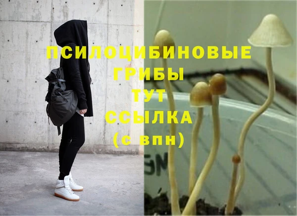 кокс Арсеньев