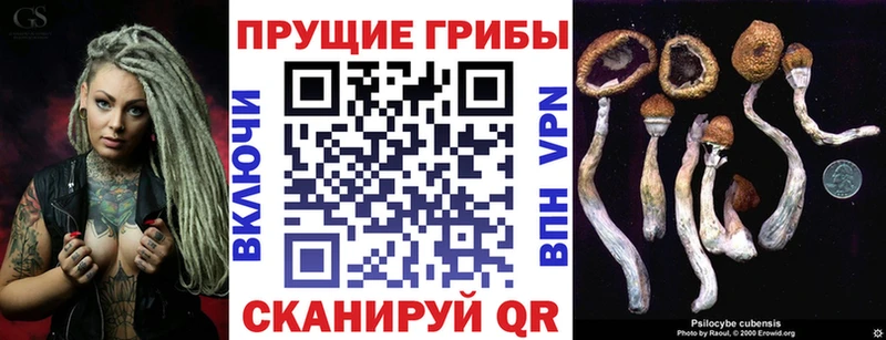 Псилоцибиновые грибы MAGIC MUSHROOMS  blacksprut вход  Красный Кут 